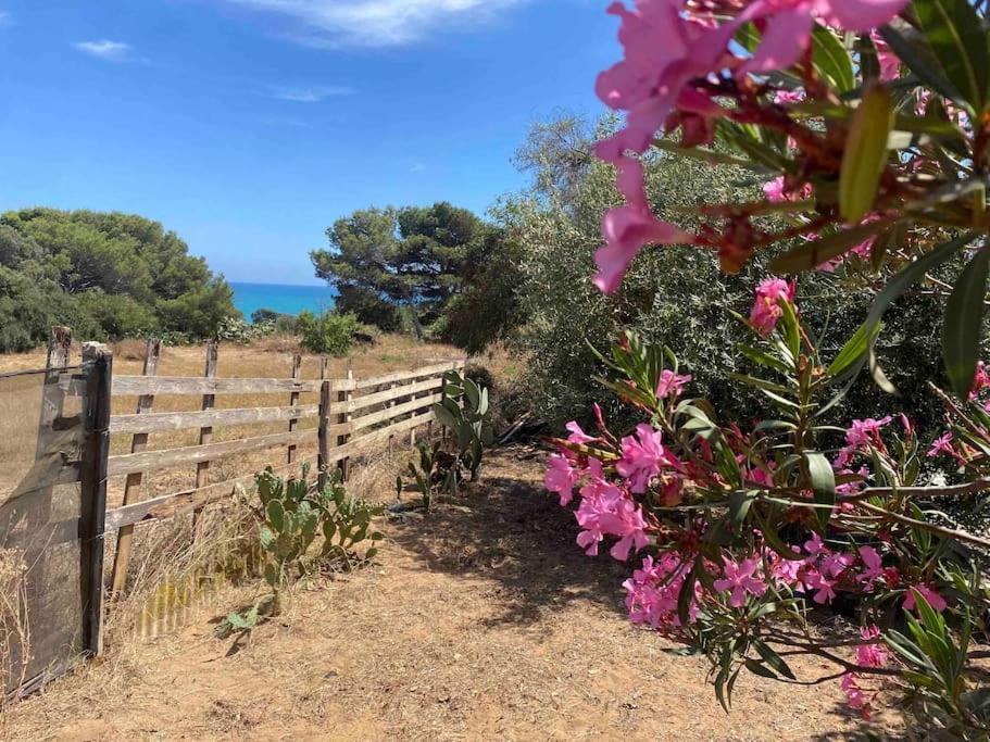 Вилла Ificumori, Campagna Ammare Марина-ди-Модика Экстерьер фото